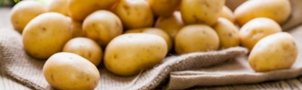 Тайфун «Гони» не повлияет на стоимость овощей и картофеля в Приморье