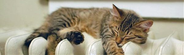 В Артеме и Партизанске начался отопительный сезон