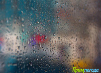 Сегодня в Приморье дождливо