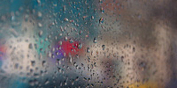 Сегодня в Приморье дождливо