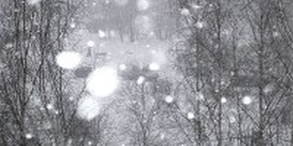 В четверг ожидается выход очередного циклона