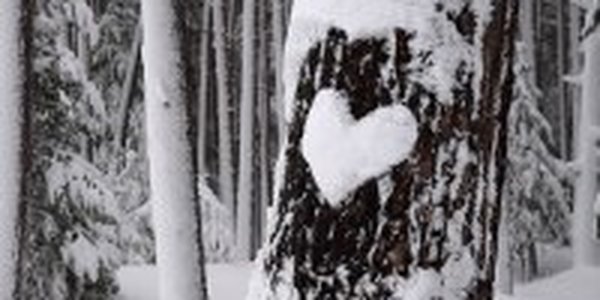 Снег и грозы: Приморье посетил циклон