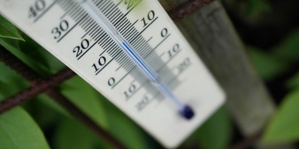 В России теплеет быстрее, чем в среднем на Земле