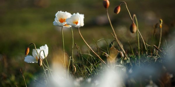 Тёплые выходные ожидаются во Владивостоке