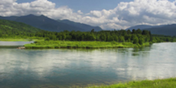 Уровень воды в реках Приморья пошел на спад