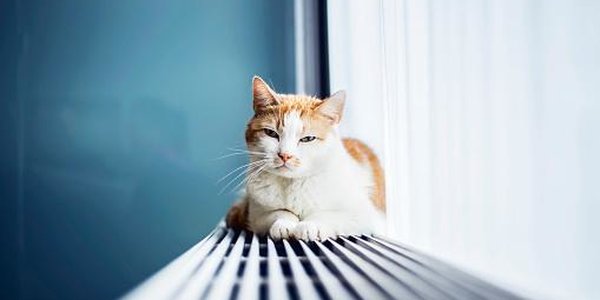 Отопительный сезон во Владивостоке завершится 2 мая