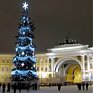 Петербуржцы голосуют за новогоднюю ель
