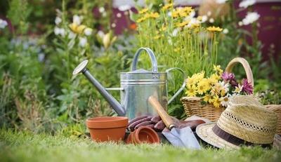 6 причин заняться садоводством