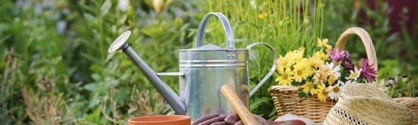 6 причин заняться садоводством