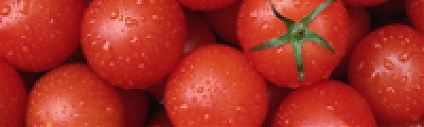 Жителей Аргентины попросили отказаться от помидоров