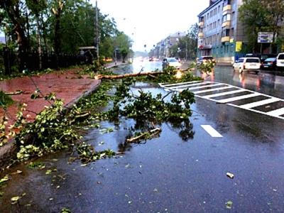 Ураган повалил деревья и оборвал провода в Южно-Сахалинске