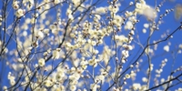 Уходящий март подарил теплый день