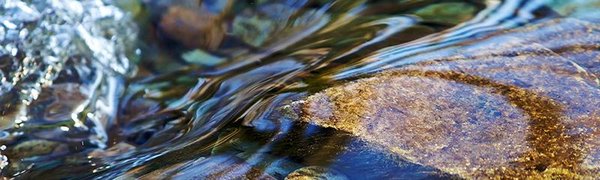 На реках северных районов Приморья возможны локальные подъёмы воды