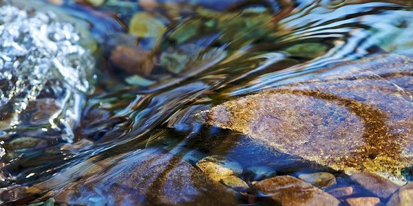 На реках северных районов Приморья возможны локальные подъёмы воды
