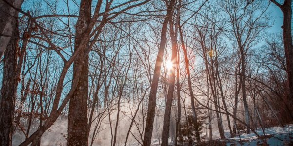 Приморье вновь оказалось во власти сибирского антициклона