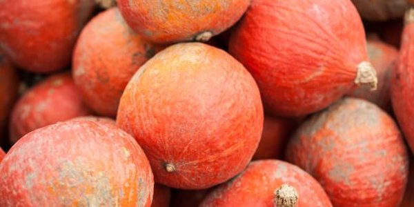 Ярмарка развернётся на центральной площади Владивостока 6 и 7 октября