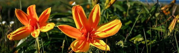 Горожан приглашают в поход по Шаморовскому перевалу