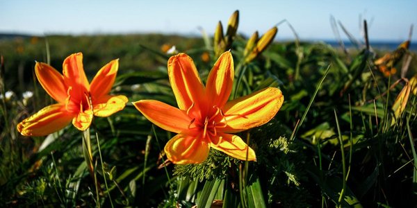 Горожан приглашают в поход по Шаморовскому перевалу