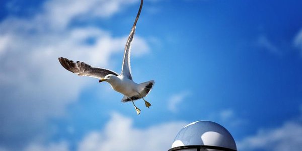 На следующей неделе в Приморье установится по-летнему жаркая погода