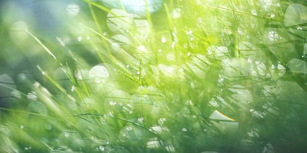 Хорошая погода сохранится в Приморье до пятницы