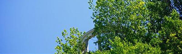 Чем дышал Владивосток с 20 по 31 мая?