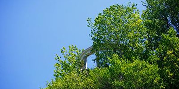 Чем дышал Владивосток с 20 по 31 мая?