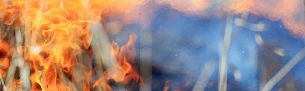 34 лесных пожара потушили в Приморье за сутки