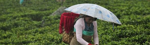 Плавучие роботы изучат муссоны