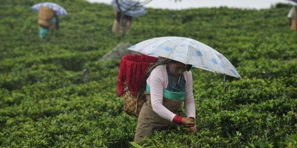 Плавучие роботы изучат муссоны