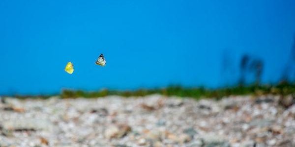 В среду жителей Приморья ждёт жара до +32 °С