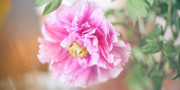 Тёплая погода придет на побережье Приморья на выходных