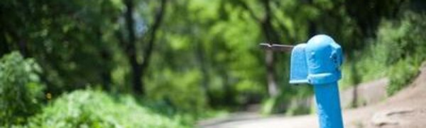 В Приморье высокие температуры в континентальных районах и более низкие в прибрежных