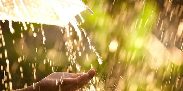 Тепло и дожди: всё о погоде в Приморье на выходных