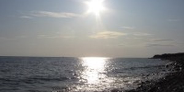 Дожди идут на убыль: в выходные дни солнечно и жарко