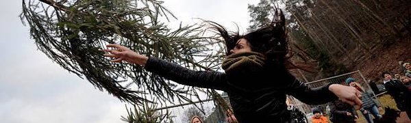 В Германии прошёл чемпионат по метанию елей (ВИДЕО)