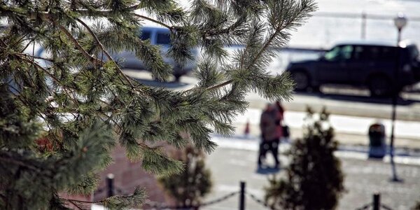 В выходные дни во Владивостоке станет немного теплее