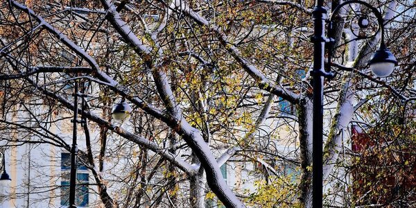 В ближайшие сутки Приморье останется под влиянием циклона