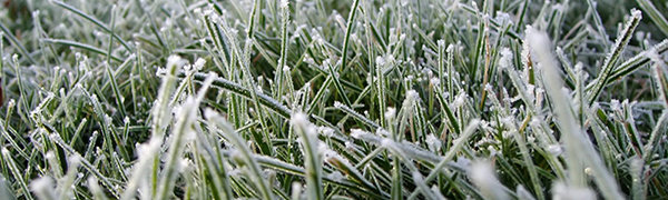 В Приморье ожидаются первые ночные заморозки