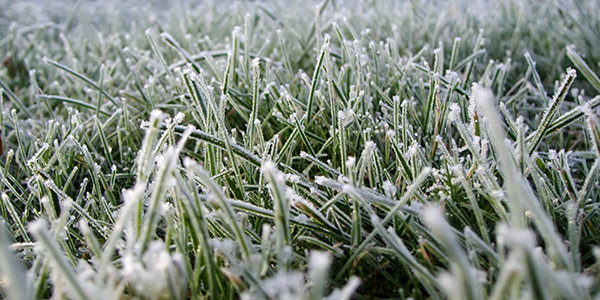 В Приморье ожидаются первые ночные заморозки