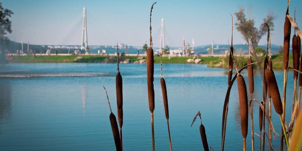 В среду погода в Приморье будет неустойчивой