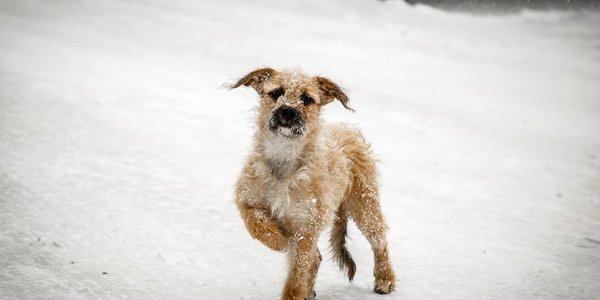 Вслед за снегопадом в Приморье пришло похолодание