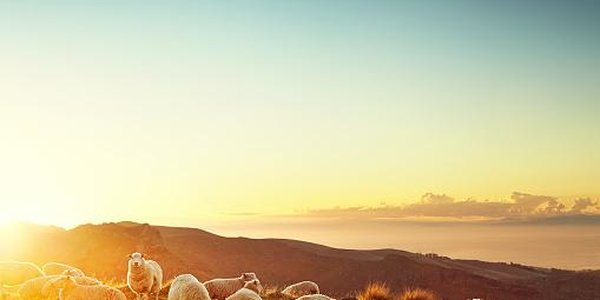 Названа самая процветающая страна в мире