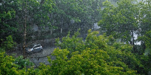 Тайфун «Яги» обострил атмосферные фронты над Приморьем