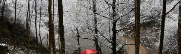 В Китае объявлено «синее» предупреждение из-за резкого похолодания