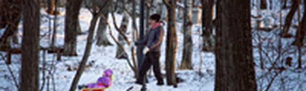 На большей части Приморья снег прекратится сегодня ночью