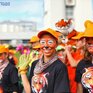 Во Владивостоке начался прием заявок на участие в шествии на День тигра