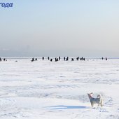 В Приморье начался сезон зимней рыбалки