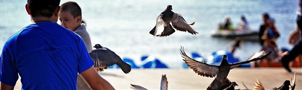 В Приморье пришло долгожданное лето