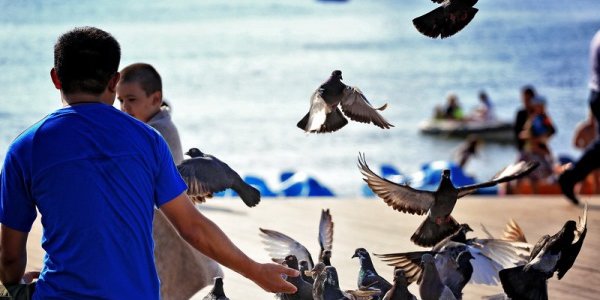 В Приморье пришло долгожданное лето