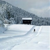 В австрийские Альпы пришла зима